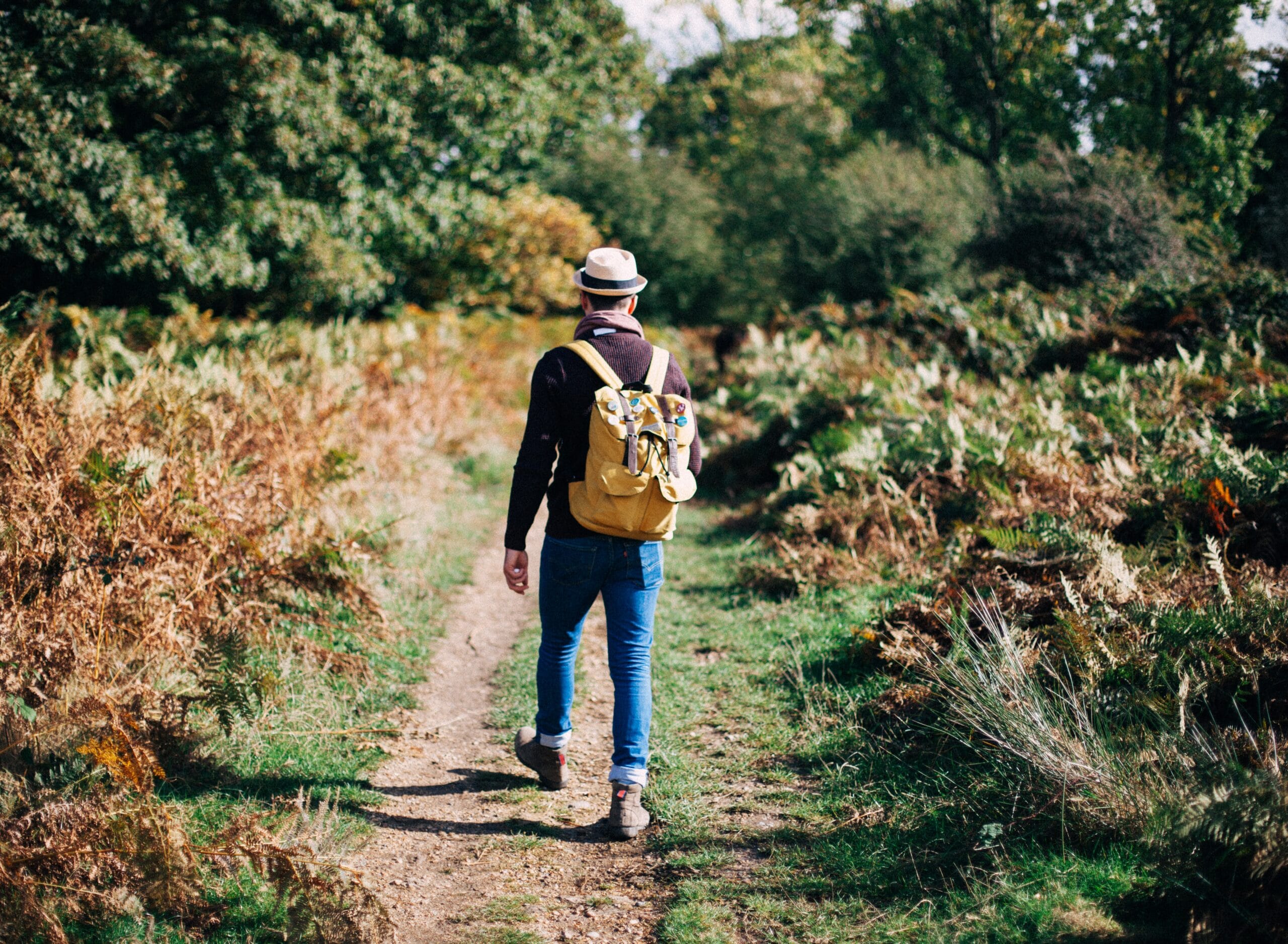 Waarom wandelen één van de beste vormen van beweging is om te werken aan je gezondheid.